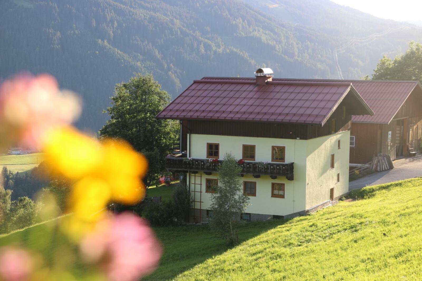 Molteraugut Διαμέρισμα Mühlbach am Hochkönig Εξωτερικό φωτογραφία