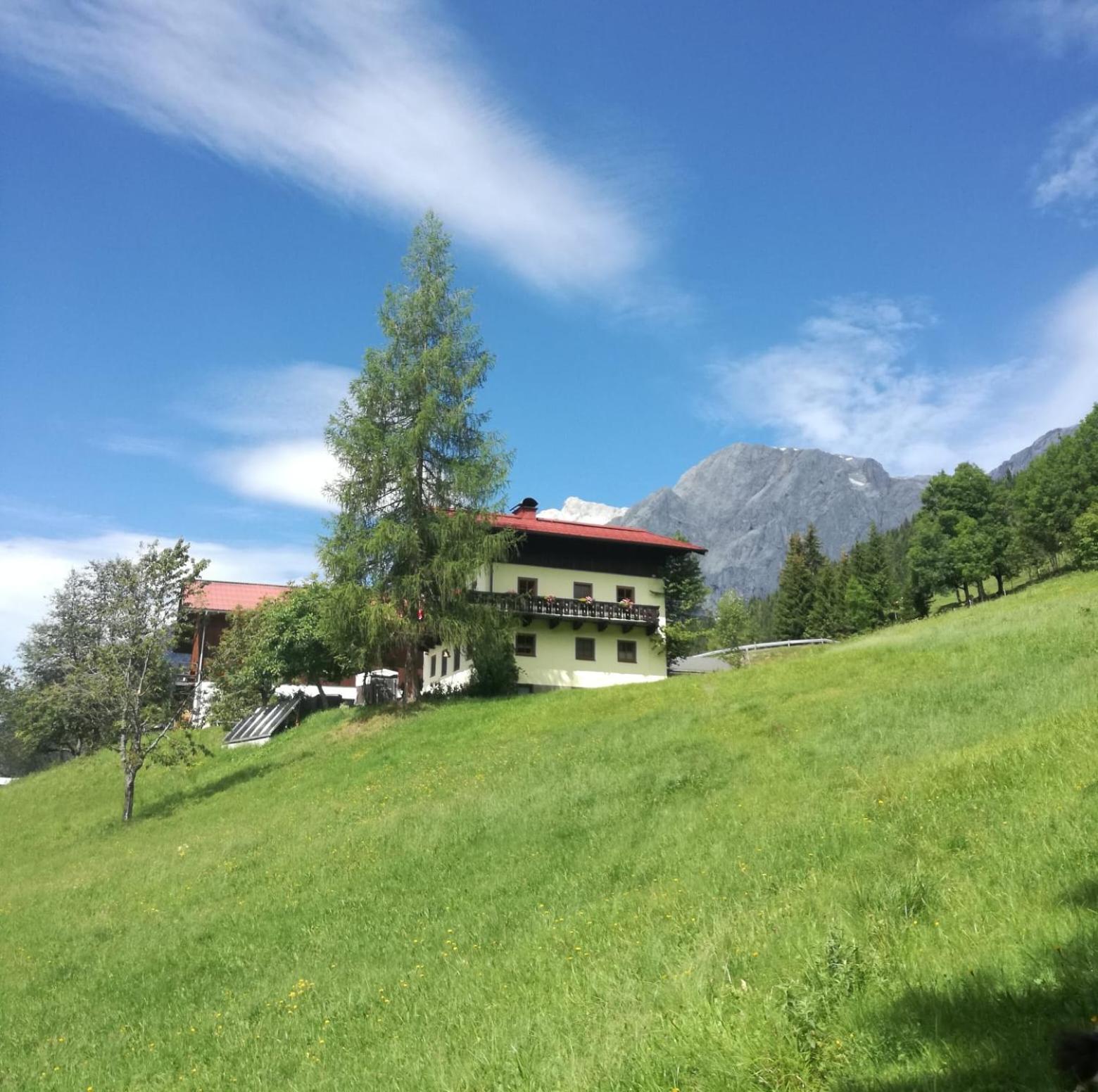 Molteraugut Διαμέρισμα Mühlbach am Hochkönig Εξωτερικό φωτογραφία